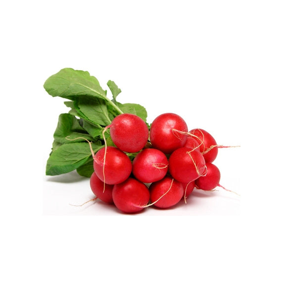 Reďkovka červená zväzok. / 1zväzok